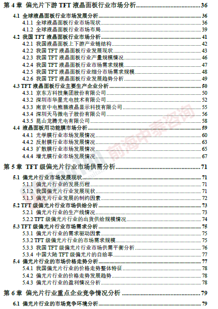 偏光片市場調研專項 目錄片段_副本.png