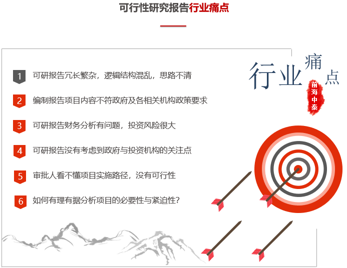 可行性研究報告行業痛點-前海中泰咨詢.png